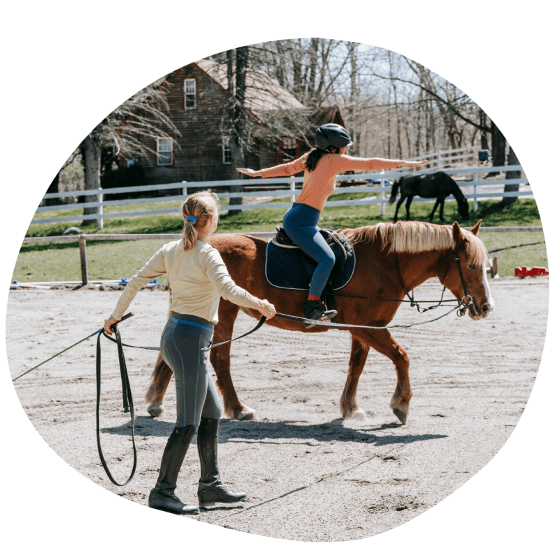 EquiKinder’s Training Scale: A Structured Approach to&nbsp;Riding