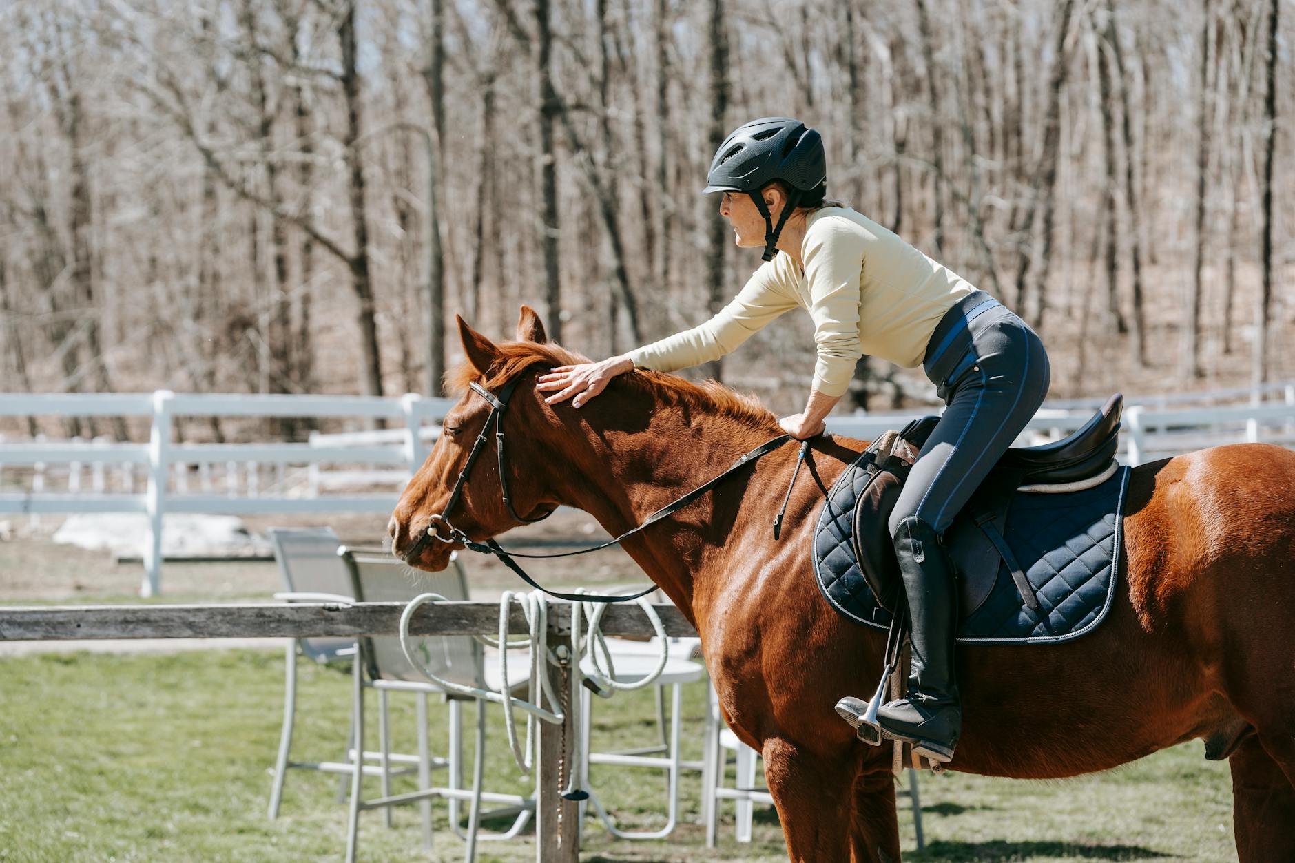 A rider in an independent seat leans forward to pat their horse, demonstrating trust and connection in horse training.