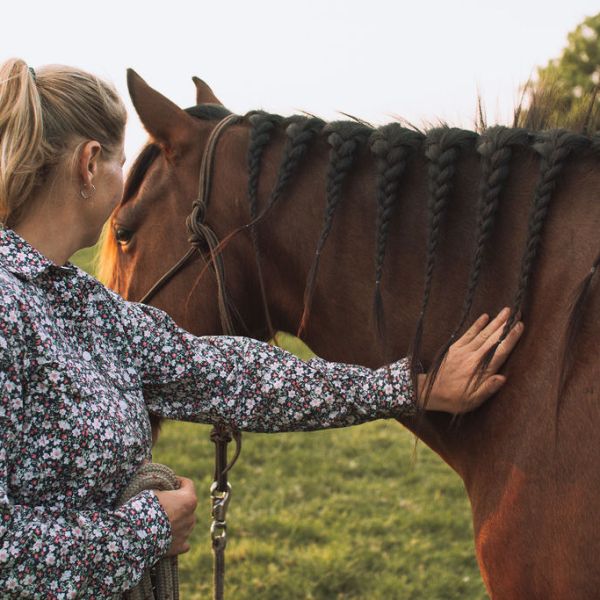 Anchored Attunement: Finding Balance in a Divided Horsemanship&nbsp;World