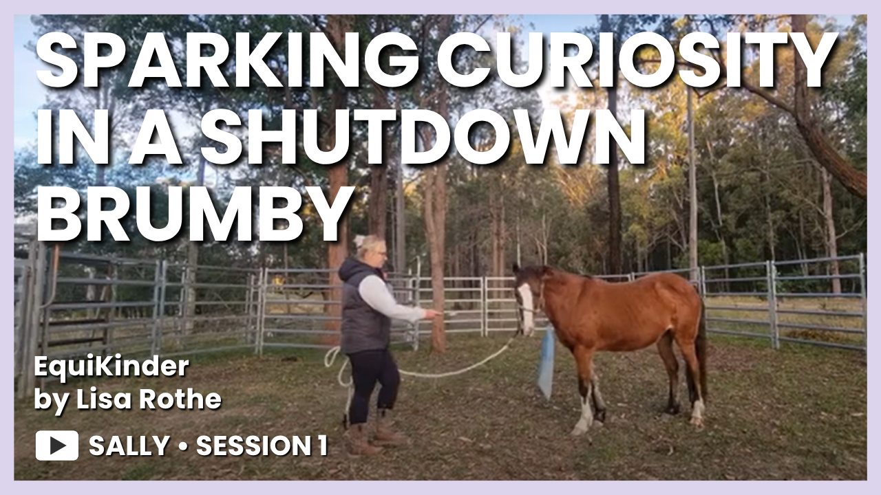 Sally & Freya – Session 1