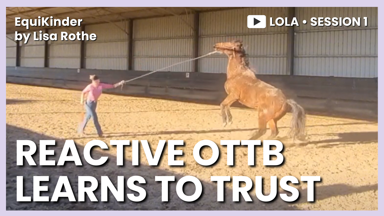 Elke & Lola – Session&nbsp;1