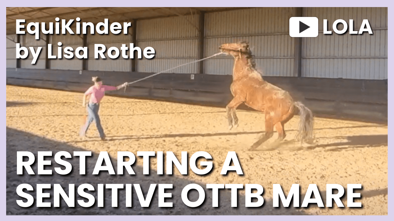 Restarting the Sensitive OTTB Mare&nbsp;Lola