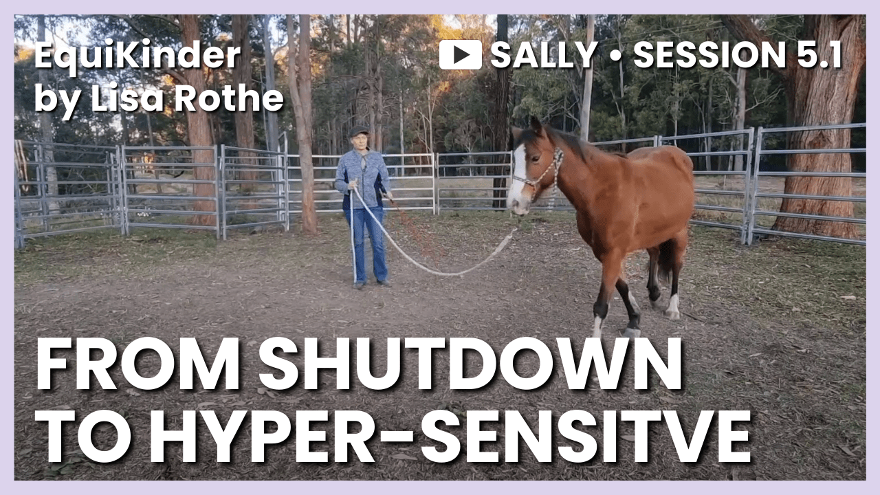 Sally & Freya – Session&nbsp;5.1