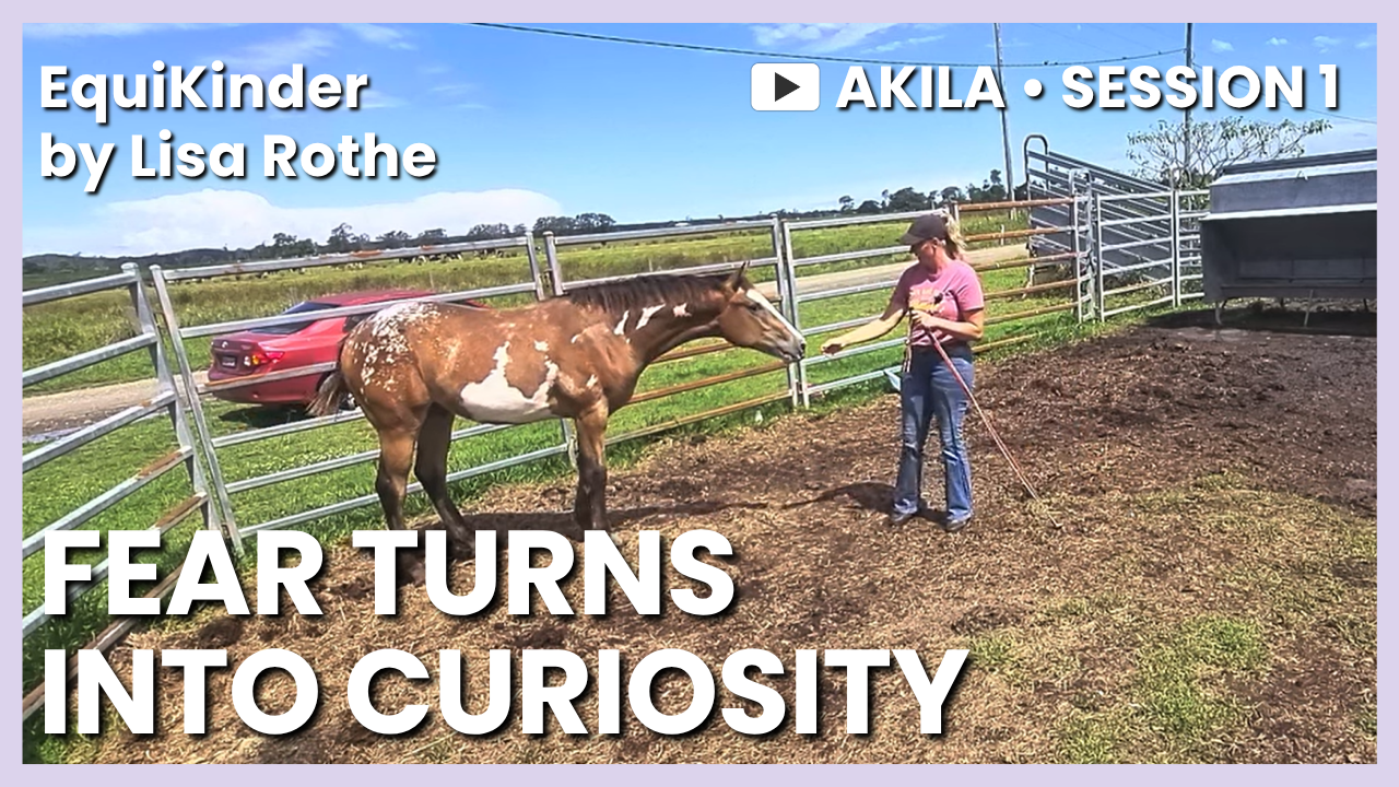 Akila – Session&nbsp;1