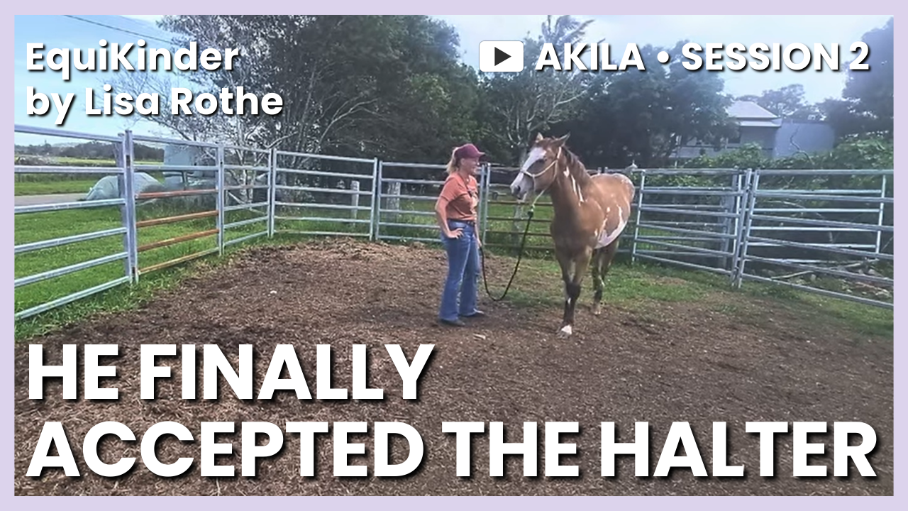 Akila – Session&nbsp;2