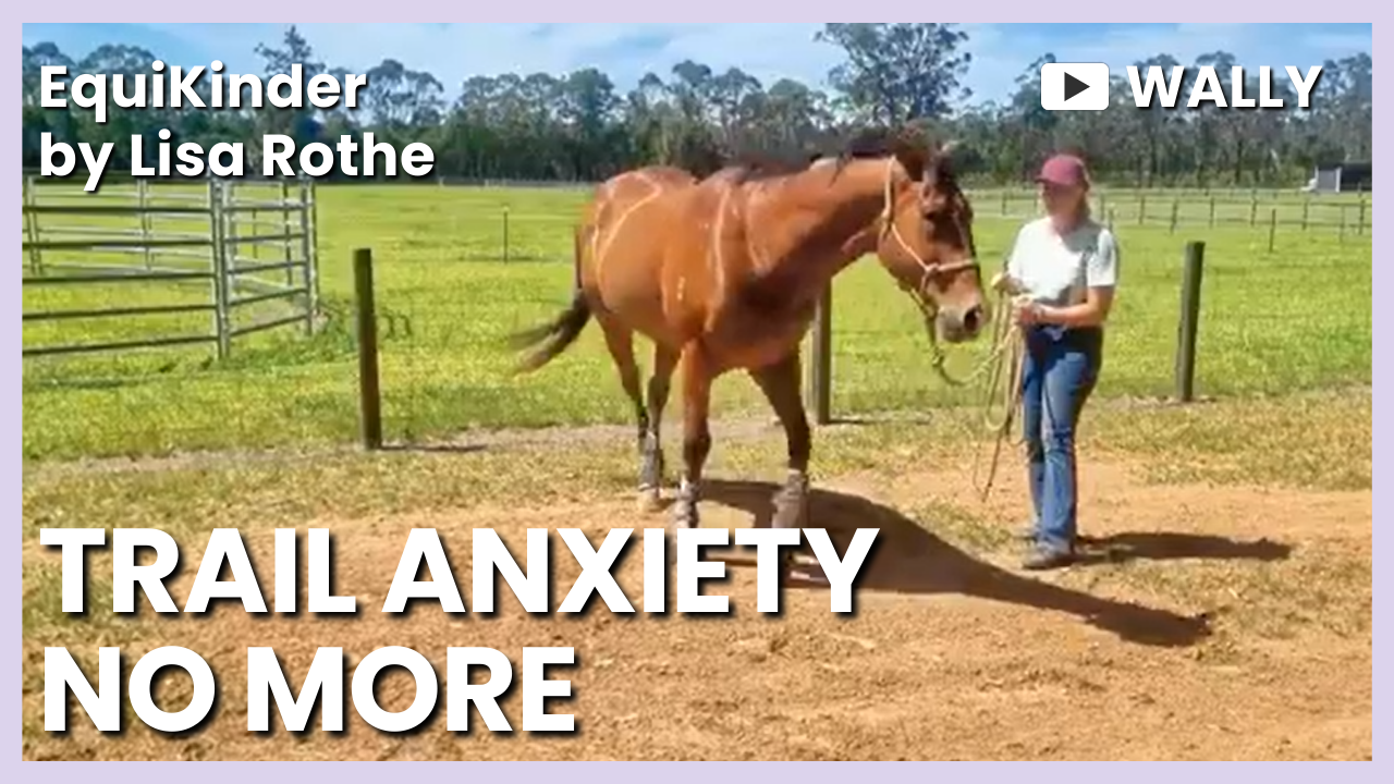 Helping a Reactive OTTB Stay Calm on the&nbsp;Trail
