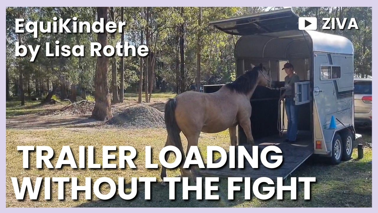 Rethinking Trailer Loading: Training an Anxious Horse