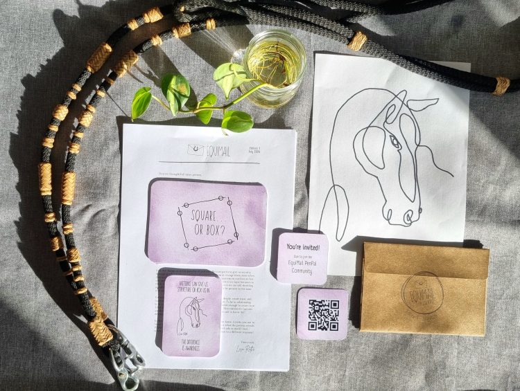 EquiMail by EquiKinder, monthly physical letter, exercise postcard, and reflection card for thoughtful horse people