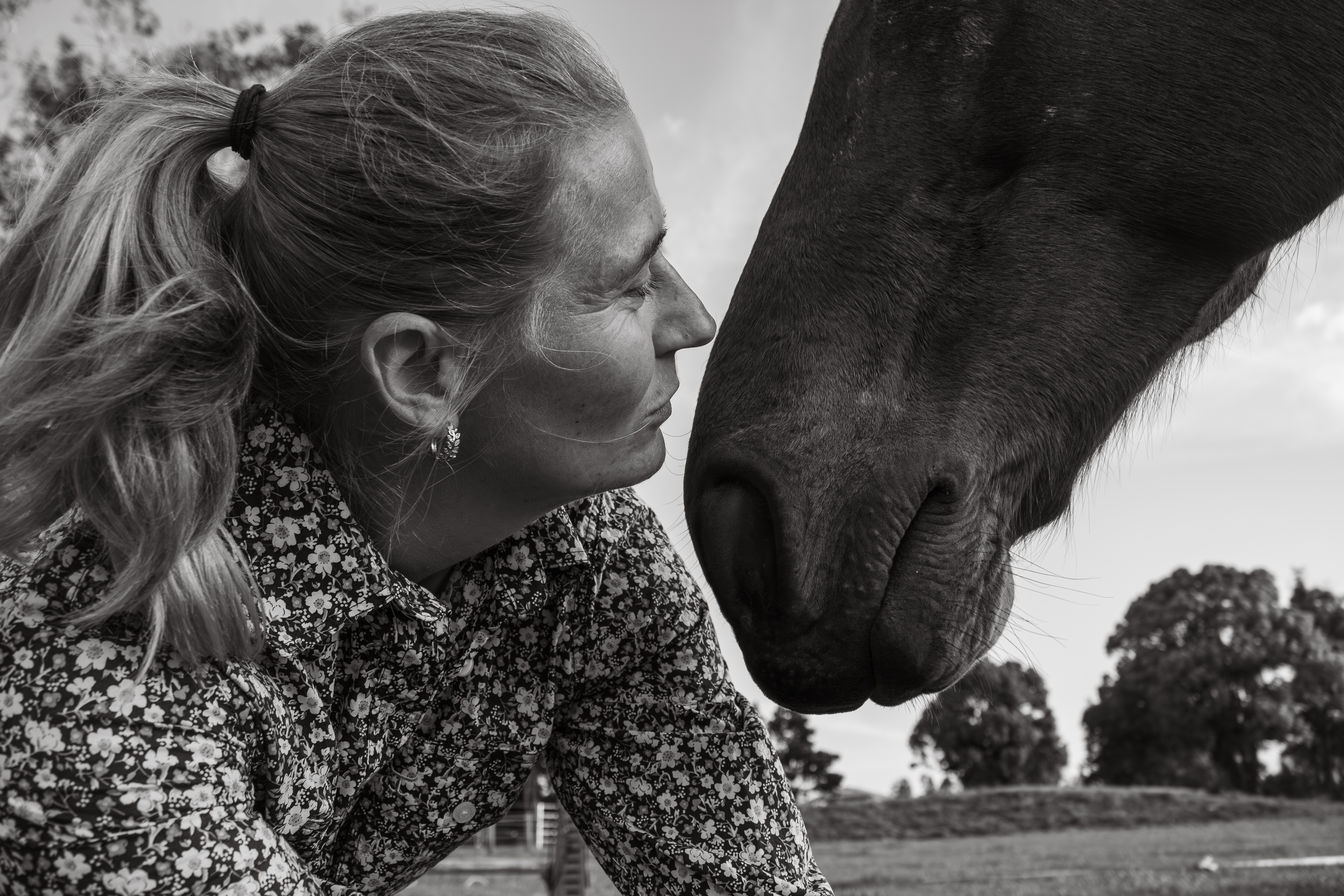 The Noise: On Horse Training Online and the Art of Slowing&nbsp;Down