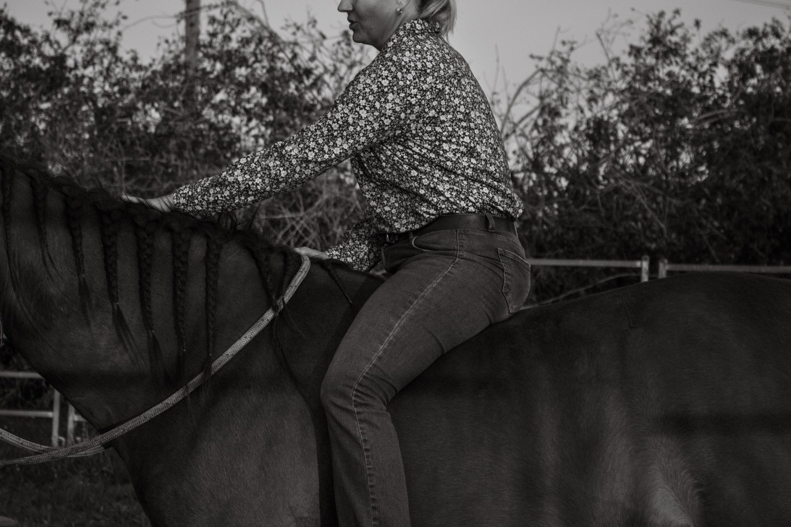 Lisa Rothe sitting on a horse bareback and bridleless